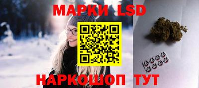 крисы Камышлов