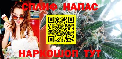 крисы Камышлов