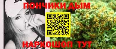 крисы Камышлов
