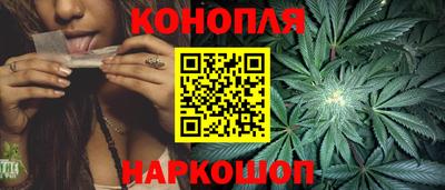 крисы Камышлов