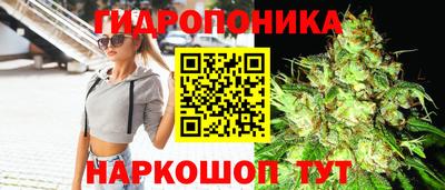 трава Кандалакша