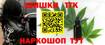 крисы Камышлов