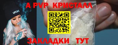 крисы Камышлов
