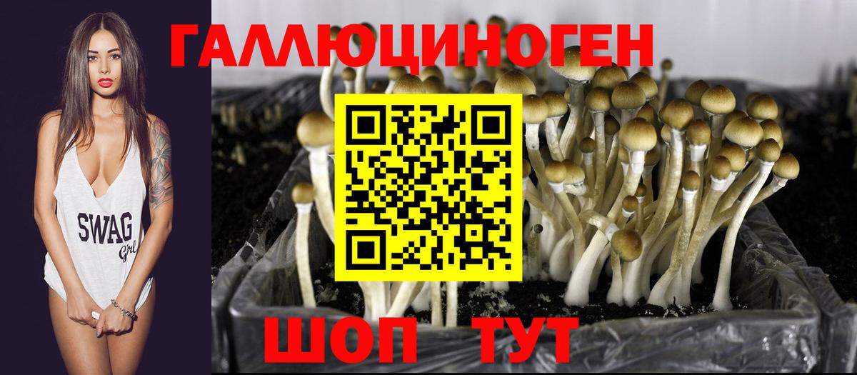 Галлюциногенные грибы прущие грибы  Галлюциногенные грибы MAGIC MUSHROOMS  Краснотурьинск  Вход с VPN 