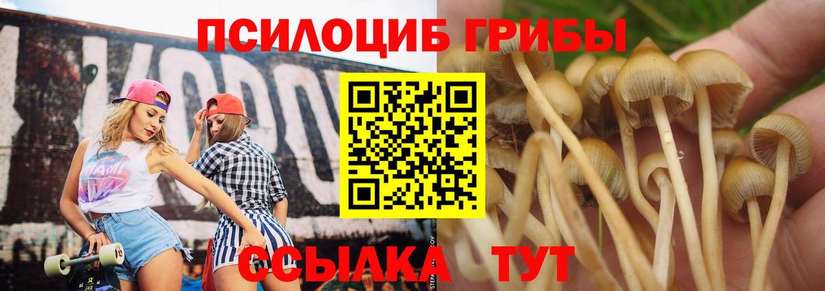 Галлюциногенные грибы GOLDEN TEACHER Краснотурьинск